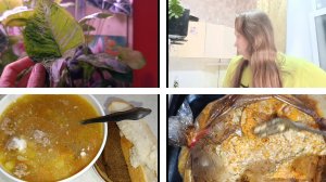 покупки🛒🛒🛒/ готовка🍲🍲🍲/ разговоры🕶️🕶️🕶️