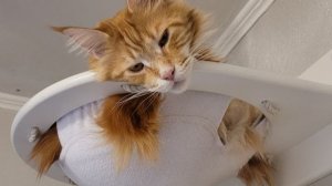 Бодрого утра и прекрасного дня, друзья!😍