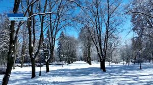 Новогодние праздники прошли без происшествий