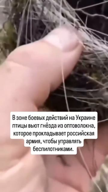 ОПТОВОЛОКНО КАТУШКИ СТАНОК ДЛЯ НАМОТКИ КАТУШЕК ОПТОВОЛОКНА СВО смотреть онлайн