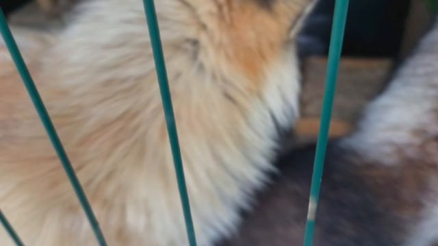 семейные разборки смотреть онлайн