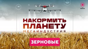 Накормить планету. Злаки