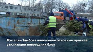 Жителям Тамбова напомнили основные правила утилизации новогодних ёлок