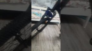 оцените велик пж