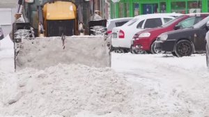 В Ярославле борются с последствиями циклона «Фрэнсис»