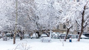 Наш заснеженный двор.