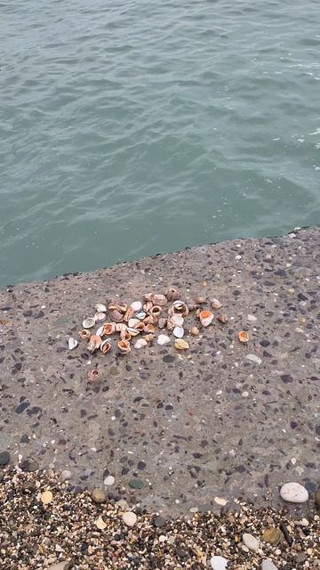 #Абхазия2026🌴 #НовыйАфон /  До свидания море, я обязательно вернусь ! смотреть онлайн