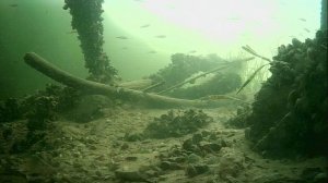 1000007778.mp412.01.2026г.