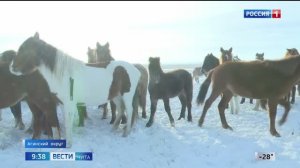 12 января «Вести-Чита» в 09:30