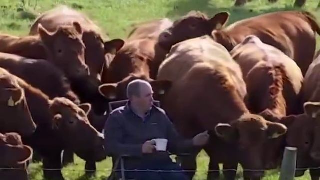 ������ ������� ��������� �� ������ � ��������� ����� �����