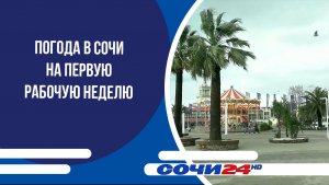 Погода в Сочи на первую рабочую неделю