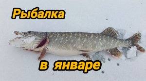 ГЛУХОЗИМЬЕ НАСТУПИЛО 🤔 НО БЕЗ УЛОВА НЕ ОСТАЛИСЬ 😀🐟🐠 РЫБАЛКА 68 🐟 РЫБАЛКА В ТАМБОВСКОЙ ОБЛАСТИ.