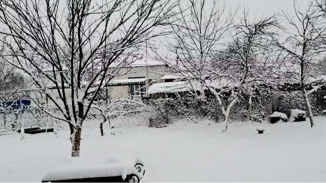 990 Готовы ко всему.Зимуем в станице на юге. Простая станичная жизнь. смотреть онлайн