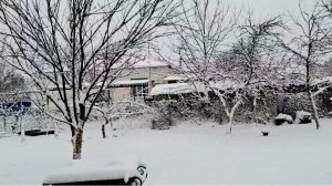 990 Готовы ко всему.Зимуем в станице на юге. Простая станичная жизнь.