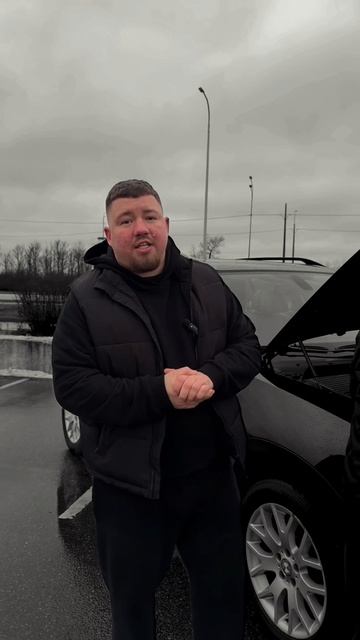 Это могло спасти покупателя от «кота в мешке». смотреть онлайн