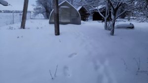 Зимняя красота вокруг нас!