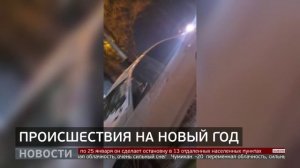 Итоги каникул: самые необычные происшествия. Новости. 12/01/2026. GuberniaTV