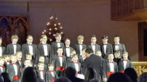 VID_20260111_220243.mp4