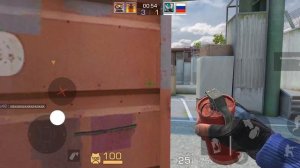 играю с подругой в стандоф 2