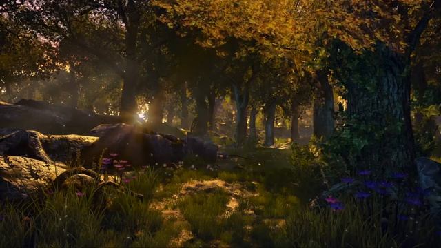 Атмосфера зачарованного леса, Умиротворяющая музыка в стиле фэнтези для расслабления, чтения и учебы смотреть онлайн