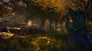 Атмосфера зачарованного леса, Умиротворяющая музыка в стиле фэнтези для расслабления, чтения и учебы