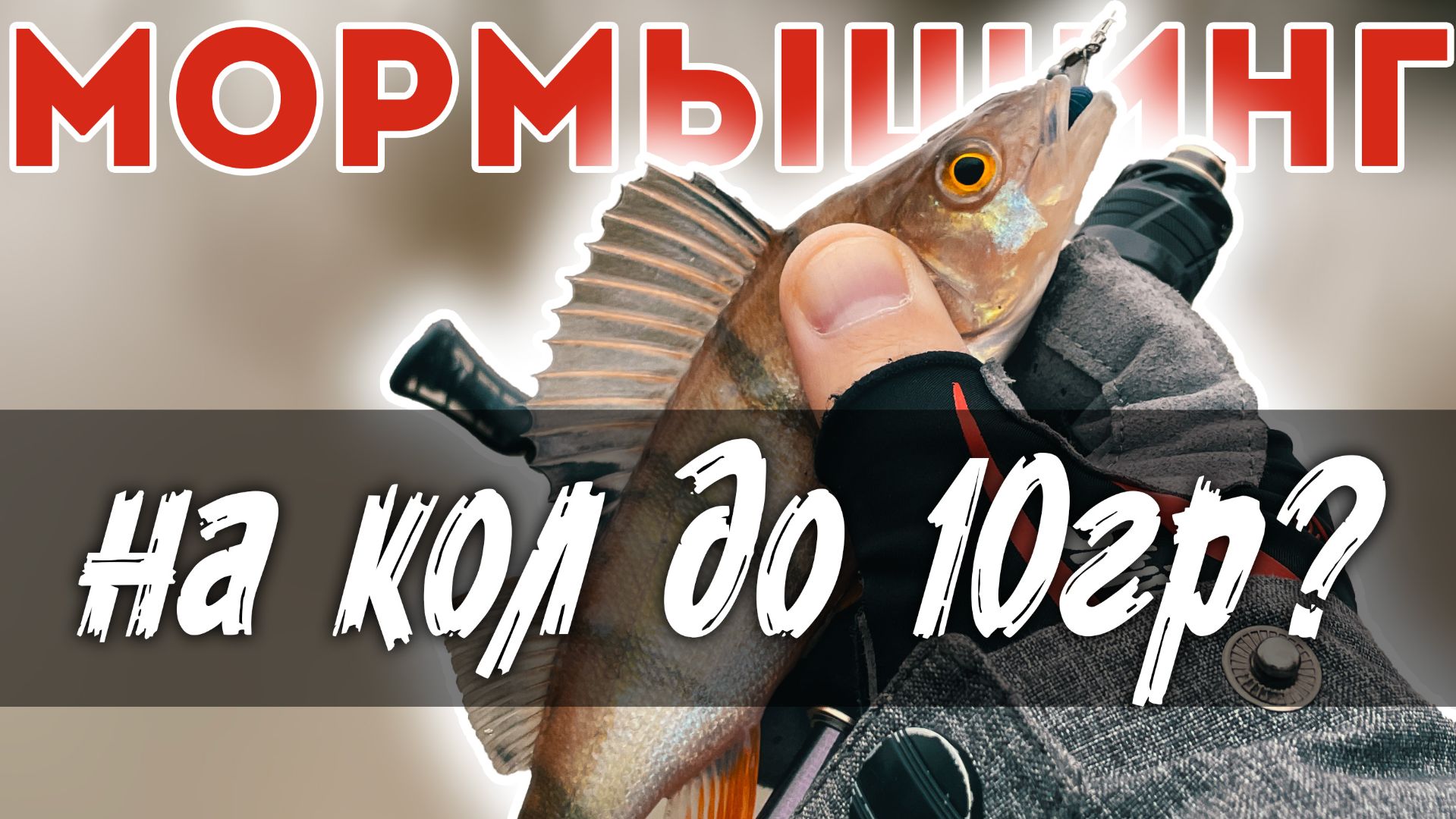 БРЕД. Но Это Сработало! Я забыл ВСЕ спиннинги, кроме... #мормышинг #микроджиг #рыбалка смотреть онлайн