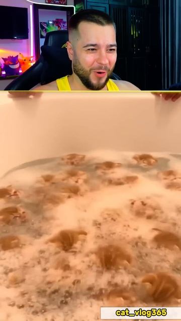 Кошачья Бомбочка Для Ванны #shorts смотреть онлайн