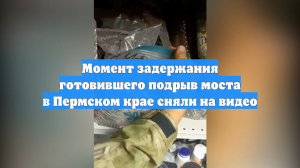 Момент задержания готовившего подрыв моста в Пермском крае сняли на видео
