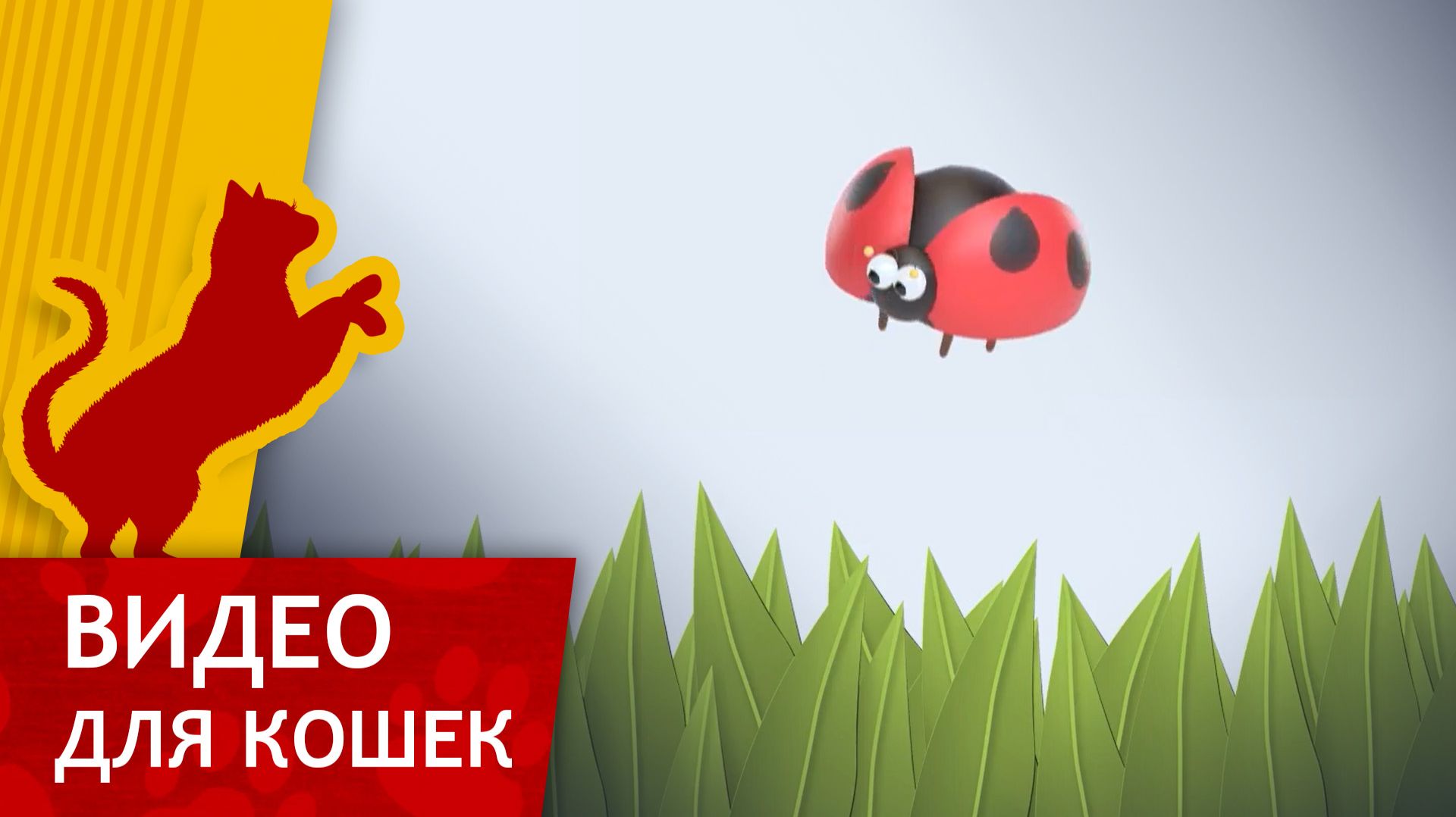 Видео для кошек - Поймай божью коровку (Развлеки кота) смотреть онлайн