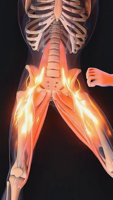 Растяжка для Раскрытия БЕДЕР и Освобождения ПОЗВОНОЧНИКА смотреть онлайн