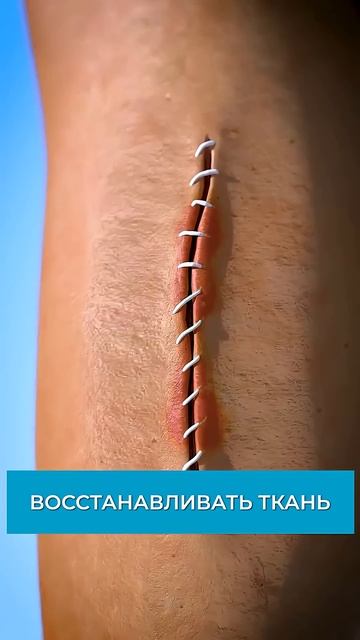 Как работают ШВЫ? #анатомия #швы #медицина смотреть онлайн