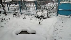 Погода на Кубани.