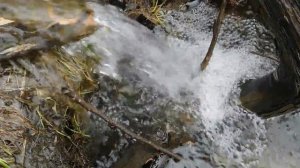 Звуки природы! Расслабление, медитация, релакс!  Шум воды