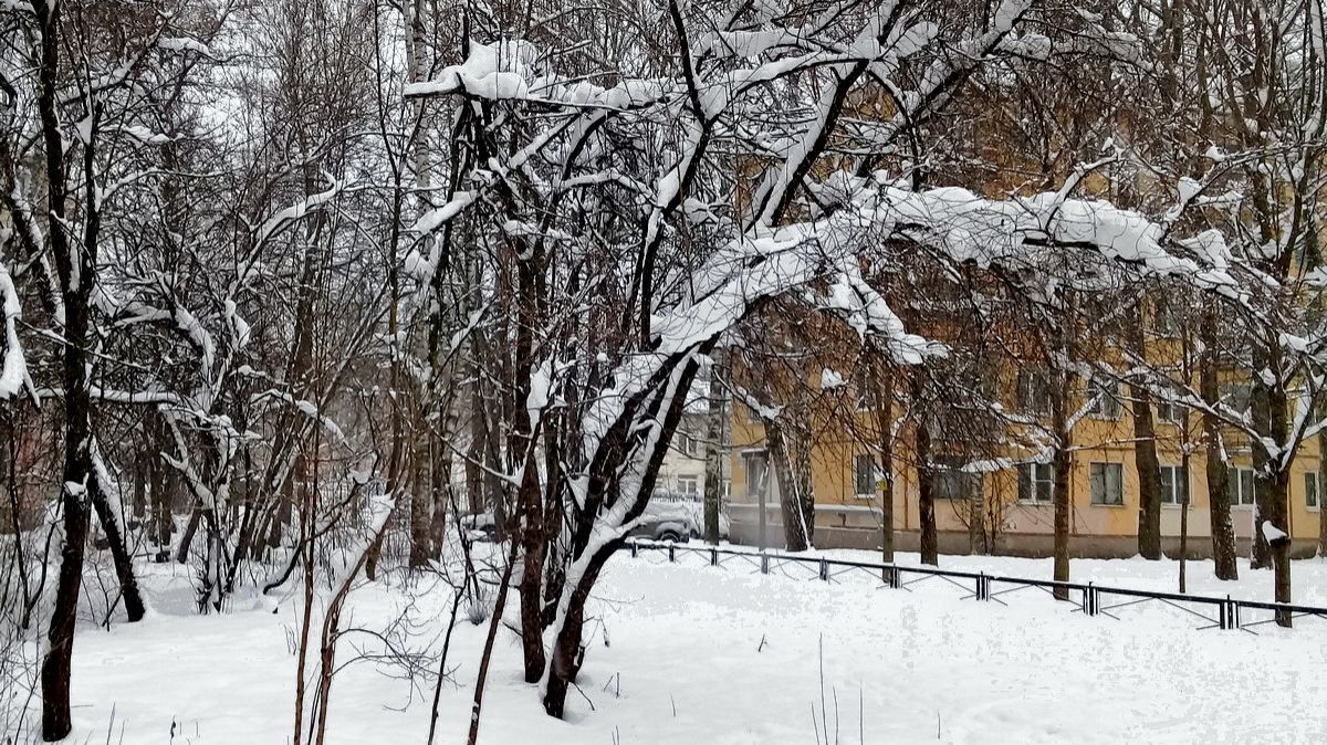 Вдоль дома... смотреть онлайн