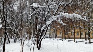 Вдоль дома...