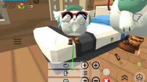 Я родилась Cat Play G