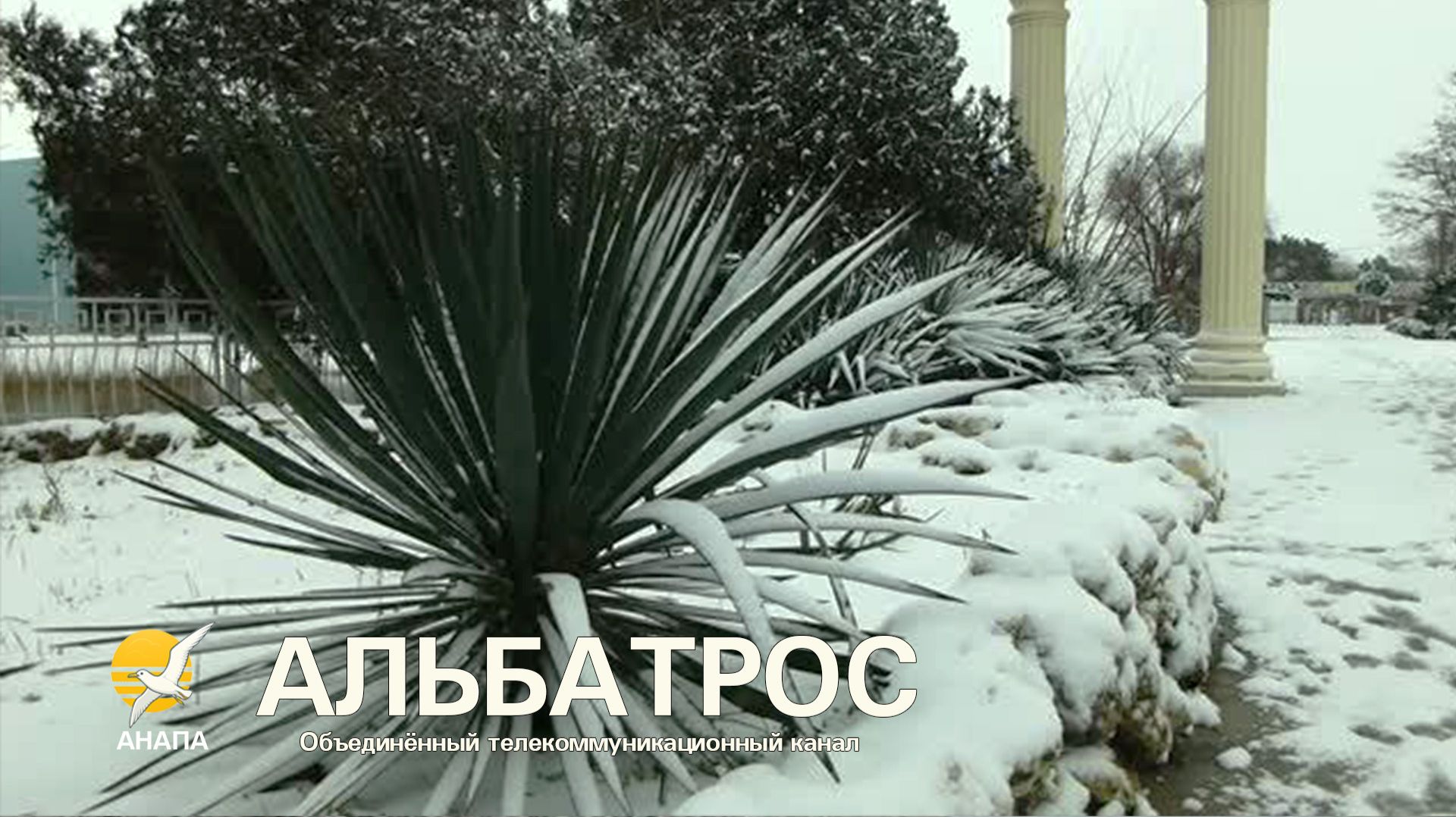 СНЕГ № 2 в АНАПЕ // Прогулка к Чёрному морю и речке Анапке // 12 января 2026 года