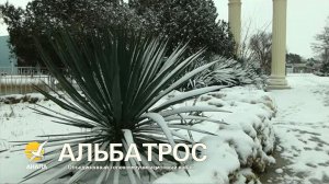 СНЕГ № 2 в АНАПЕ // Прогулка к Чёрному морю и речке Анапке // 12 января 2026 года