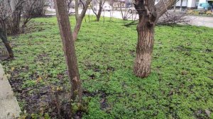 Один из дней города Евпатории | 2 февраля 2021 г | Крым | ХАН БАТОН  XAH 6ATOH / VID_20210202_132605