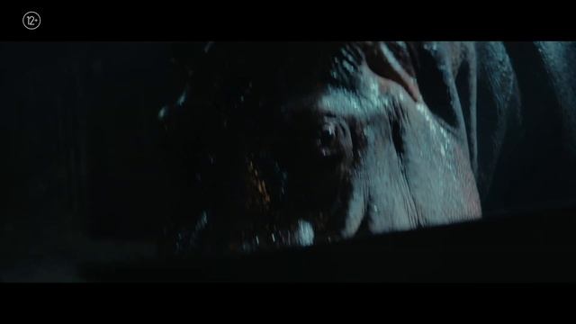 Красавица — трейлер смотреть онлайн