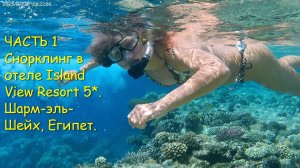 ЧАСТЬ 1. Снорклинг. Подводный мир. Риф отеля Island View Resort 5*. Шарм-эль-Шейх, Египет.