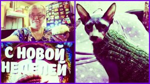 #1-12.01.26 ❄️УРА, МЫ ПОБЕДИЛИ ❄️ ПОЖАЛУЮСЬ САМА НА СЕБЯ 😃❄️❄️