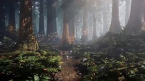 Заколдованный лес - Шепот фей