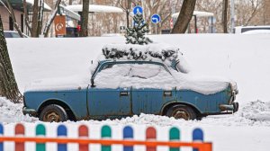 Эксперт рекомендовала грамотно утилизировать елку после Нового года