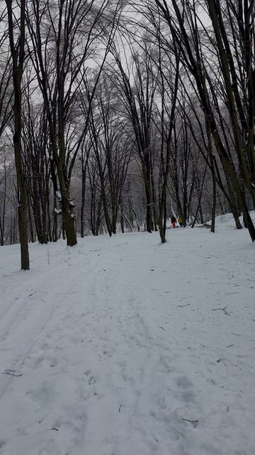 Киев 11.01.2026 г. смотреть онлайн