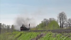 Nesh Up! - Funky Beats