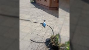 Наедине с собою