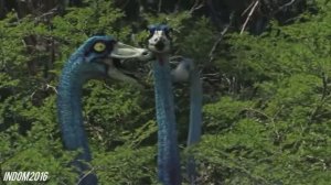 Ornithomimus Tribute 12 Stones - The Last Song