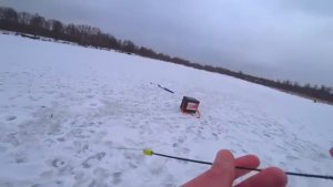 ПЛОТВА БЕЗ НАСАДКИ! Ловля на безмотылку со сменой проводок.