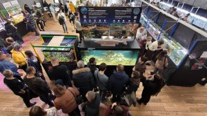 ВЫСТАВКА "РУССКИЕ АКВАРИУМЫ" 2026. НАЧАЛО